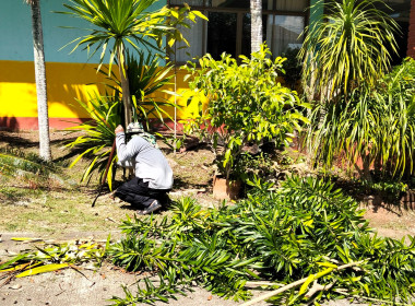 กิจกรรม 5 ส. ... พารามิเตอร์รูปภาพ 6