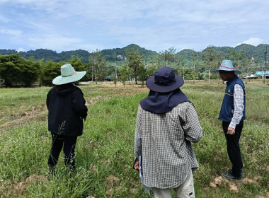 ลงพื้นที่นิคมสหกรณ์พนม อำเภอพนม จังหวัดสุราษฎร์ธานี ... พารามิเตอร์รูปภาพ 5