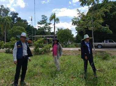 ลงพื้นที่นิคมสหกรณ์พนม อำเภอพนม จังหวัดสุราษฎร์ธานี ... พารามิเตอร์รูปภาพ 6