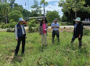 ลงพื้นที่นิคมสหกรณ์พนม อำเภอพนม จังหวัดสุราษฎร์ธานี ... พารามิเตอร์รูปภาพ 9