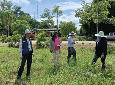 ลงพื้นที่นิคมสหกรณ์พนม อำเภอพนม จังหวัดสุราษฎร์ธานี ... พารามิเตอร์รูปภาพ 10
