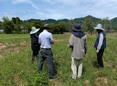 ลงพื้นที่นิคมสหกรณ์พนม อำเภอพนม จังหวัดสุราษฎร์ธานี ... พารามิเตอร์รูปภาพ 11