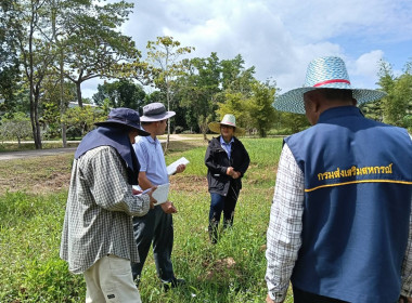 ลงพื้นที่นิคมสหกรณ์พนม อำเภอพนม จังหวัดสุราษฎร์ธานี ... พารามิเตอร์รูปภาพ 12