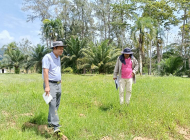 ลงพื้นที่นิคมสหกรณ์พนม อำเภอพนม จังหวัดสุราษฎร์ธานี ... พารามิเตอร์รูปภาพ 16