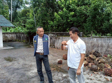 วันที่ 7 พฤศจิกายน 2568 นางสาววิลาวัลย์ แก้วเกาะสะบ้า ... พารามิเตอร์รูปภาพ 20