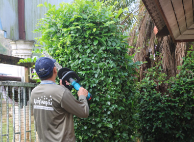 ข้าราชการ ลูกจ้างประจำ ... พารามิเตอร์รูปภาพ 8