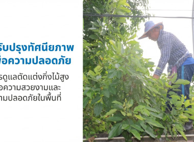 ศูนย์ถ่ายทอดเทคโนโลยีการสหกรณ์ที่ 20 ร่วมใจ ปรับภูมิทัศน์ ... พารามิเตอร์รูปภาพ 4