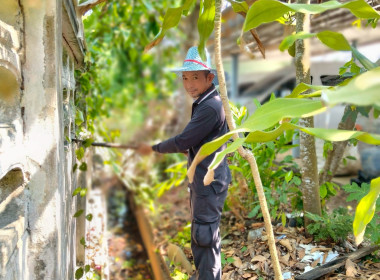 ข้าราชการ ลูกจ้างประจำ พนักงานราชการ ... พารามิเตอร์รูปภาพ 4