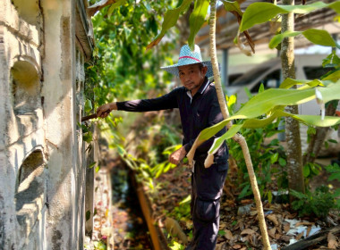 ข้าราชการ ลูกจ้างประจำ พนักงานราชการ ... พารามิเตอร์รูปภาพ 5