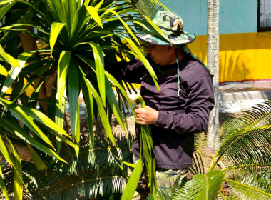 ข้าราชการ ลูกจ้างประจำ พนักงานราชการ ... พารามิเตอร์รูปภาพ 17