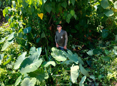 ข้าราชการ ลูกจ้างประจำ พนักงานราชการ ... พารามิเตอร์รูปภาพ 22