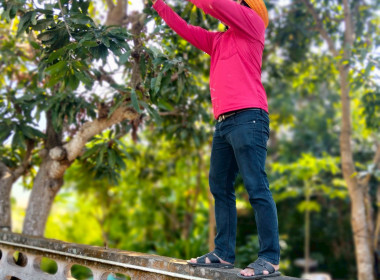 ข้าราชการ ลูกจ้างประจำ พนักงานราชการ ... พารามิเตอร์รูปภาพ 23