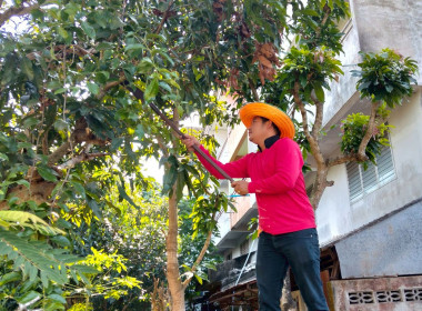 ข้าราชการ ลูกจ้างประจำ พนักงานราชการ ... พารามิเตอร์รูปภาพ 24