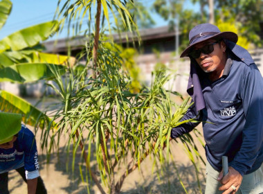 ข้าราชการ ลูกจ้างประจำ พนักงานราชการ ... พารามิเตอร์รูปภาพ 3