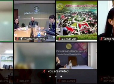 นางสาววิลาวัลย์ แก้วเกาะสะบ้า ... พารามิเตอร์รูปภาพ 13