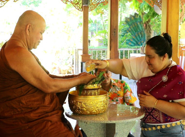 ศูนย์ถ่ายทอดเทคโนโลยีการสหกรณ์ที่ 20 สุราษฎร์ธานี ... พารามิเตอร์รูปภาพ 16