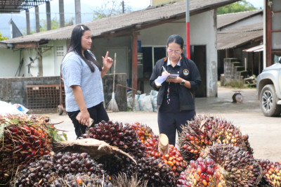 นางสาววิลาวัลย์ แก้วเกาะสะบ้า ... พารามิเตอร์รูปภาพ 1