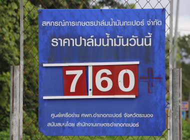 นางสาววิลาวัลย์ แก้วเกาะสะบ้า ... พารามิเตอร์รูปภาพ 12