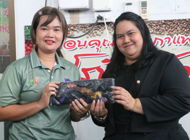 นางสาววิลาวัลย์ แก้วเกาะสะบ้า ... พารามิเตอร์รูปภาพ 12