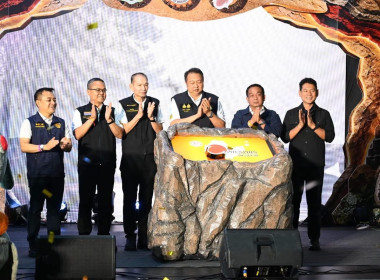 นางสาววิลาวัลย์ แก้วเกาะสะบ้า ... พารามิเตอร์รูปภาพ 2